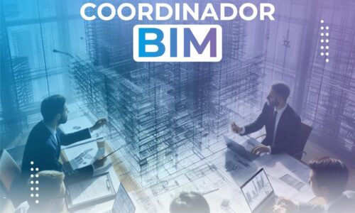 Coordinador BIM Grupo 7 Edición 2024