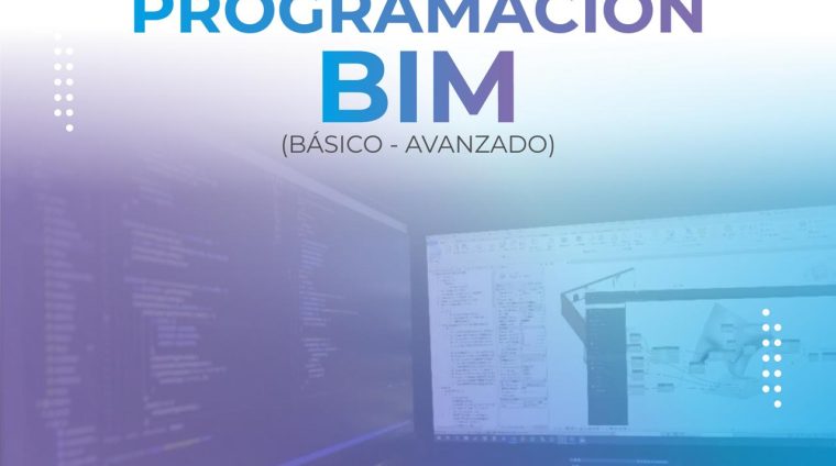 FLYER PROGRAMACIÓN